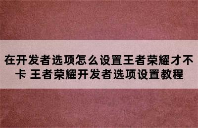 在开发者选项怎么设置王者荣耀才不卡 王者荣耀开发者选项设置教程